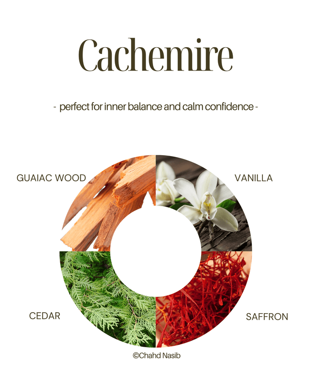 BIO HOME DIFFUSER 100ml