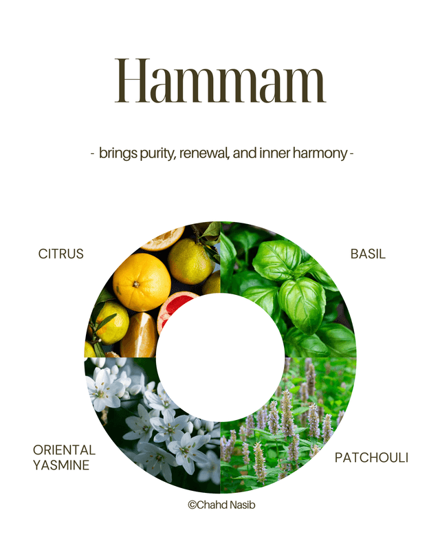 BIO HOME DIFFUSER 100ml